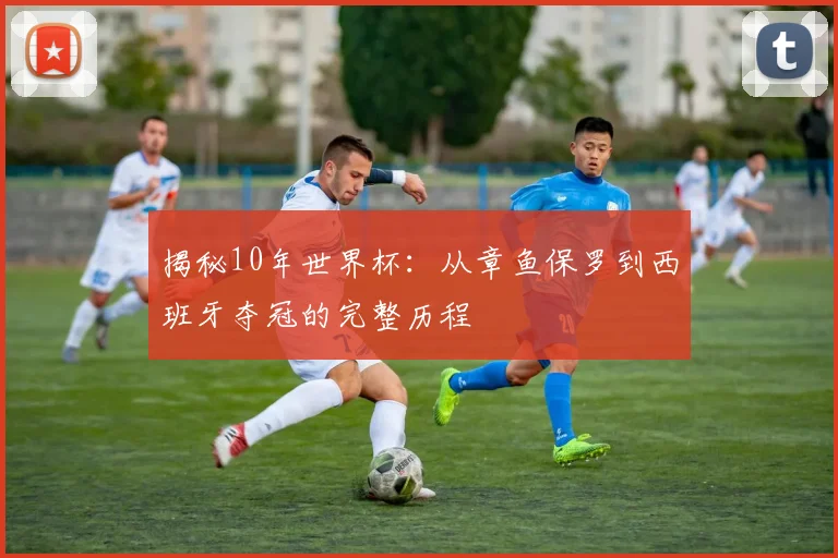 揭秘10年世界杯：从章鱼保罗到西班牙夺冠的完整历程