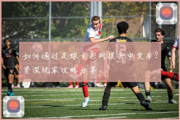 如何通过足球竞彩网提升中奖率？资深玩家攻略分享