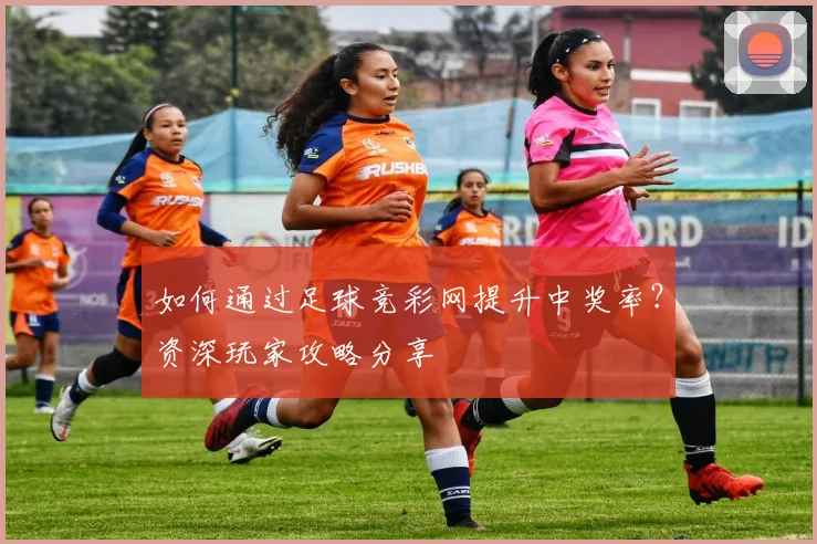 如何通过足球竞彩网提升中奖率？资深玩家攻略分享